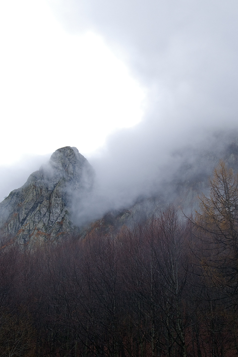 foliage, autunno, faggi val d'aveto